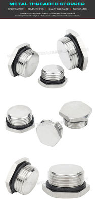 304, 316 Stainless Steel (Brass) Round or Hexagonal Blind Plugs Blanking Plugs with PG7~PG48 & M12~M110 threads